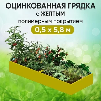 Грядка желтая (0,5 х 5,8)
