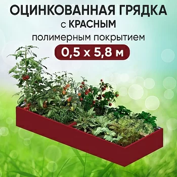 Грядка красная (0,5 х 5,8)