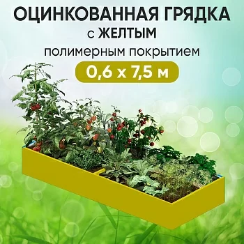 Грядка желтая (0,6 х 7,5)
